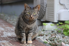 また明日ぁ～♪