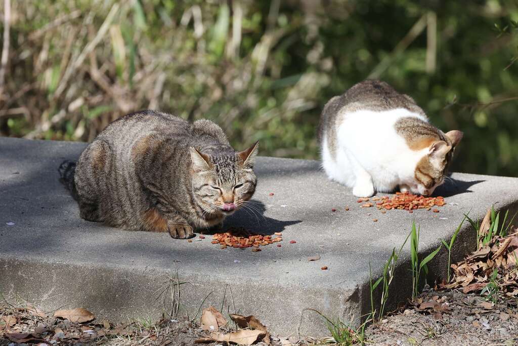 お食事タイム♪