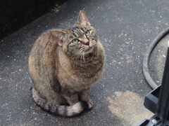 「雨の合間に」♪