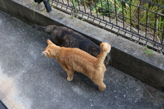 大惨事♪
