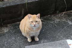 餌待ち～（続編）♪