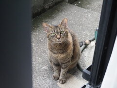 「昼から来た」♪ 「昼から来た」♪