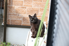 ご機嫌斜め♪