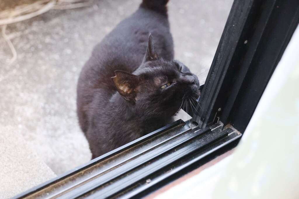 ルーティン♪