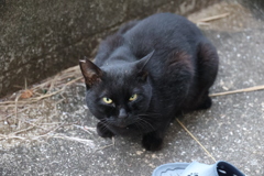 朝モフ劇場♪