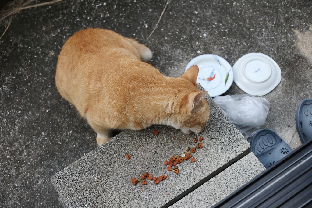 むさぼり食い♪