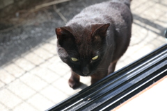 尻尾を掴む♪