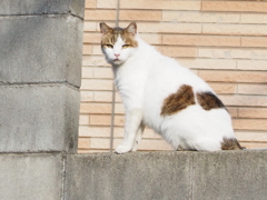 「気付かれた」♪
