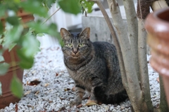 今度は、北側♪