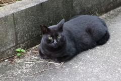 今日も元気だ（曇り空）♪