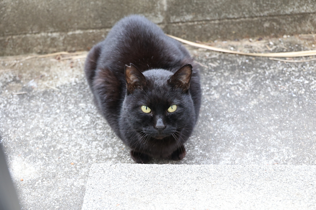 来たな♪