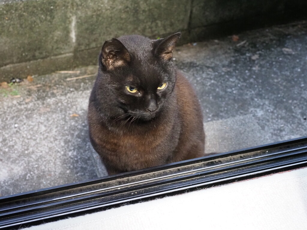 今日も元気です♪