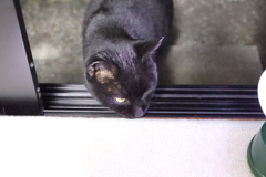 餌ちょーだい♪