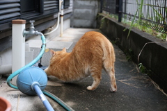 伸び～っ♪