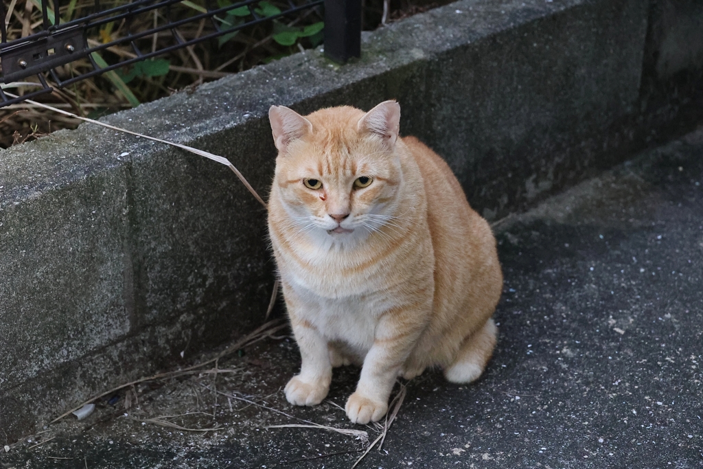 ひんやり♪