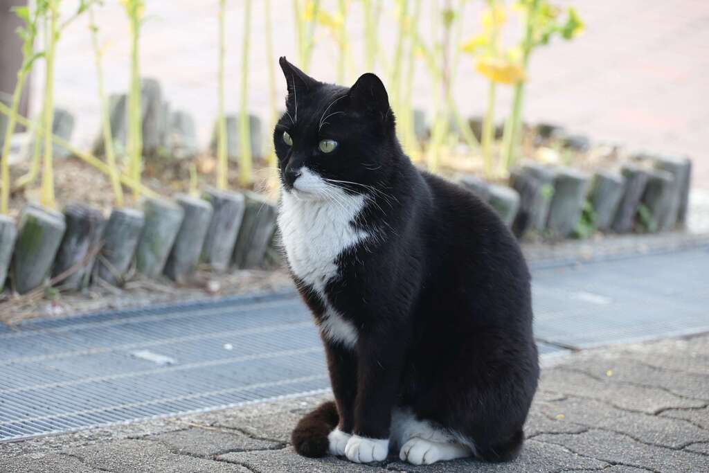 餌待ち？