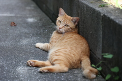 見つめる♪