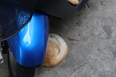 単車の下♪