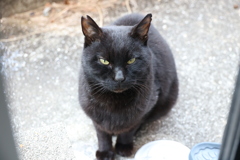 ボク、元気です♪