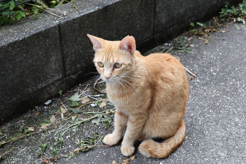 今日は、いい日♪