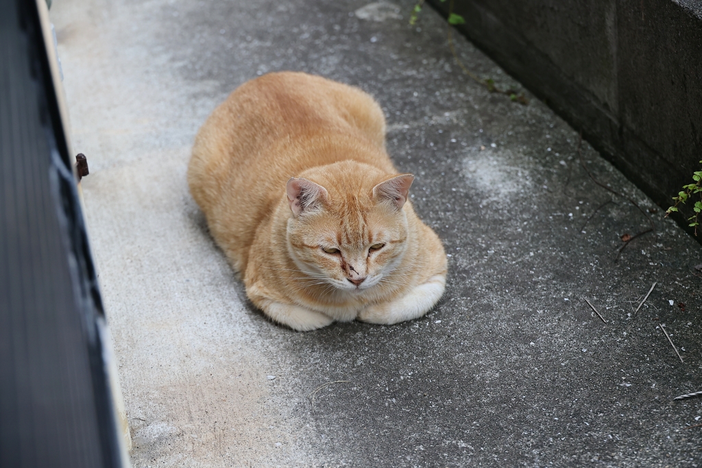 夕方になって♪