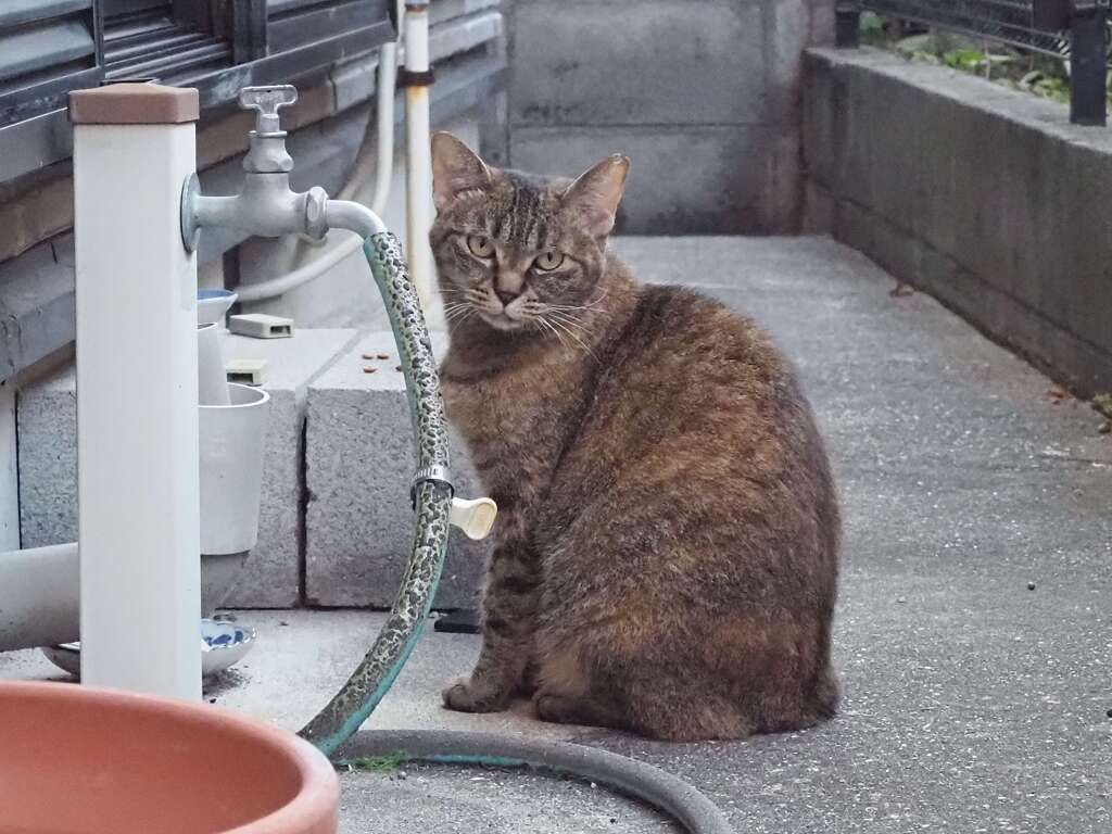 「違う場所から撮る」♪
