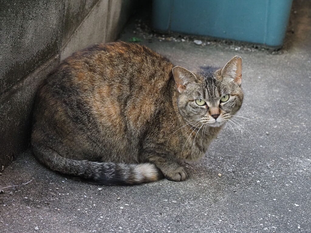 「昨日と同じ」♪