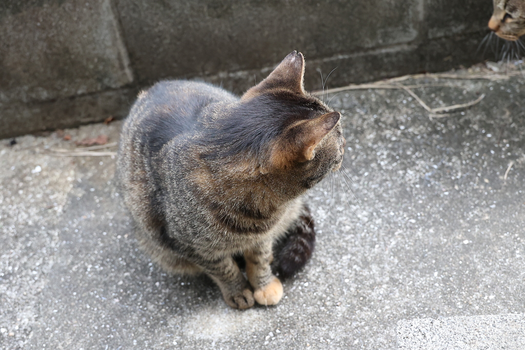 2回目の食事♪