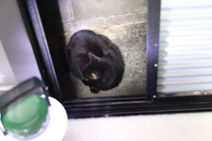 春近し♪