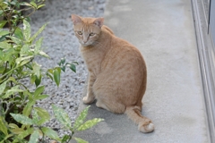 ハイ・ポーズ♪