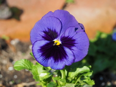 「冬の色」（続編）♪