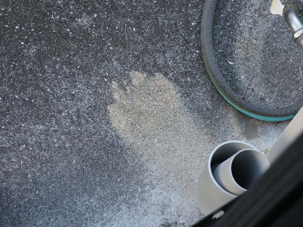 「ねこの跡かっ」♪