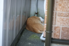 ぐったり♪