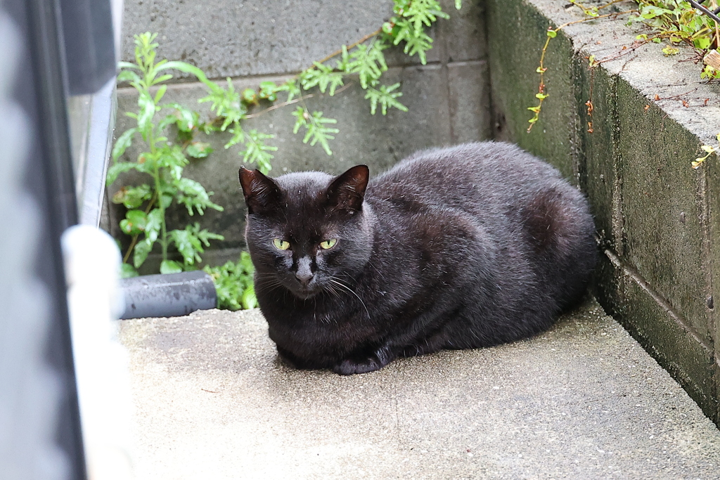 ただ食べるのみ♪