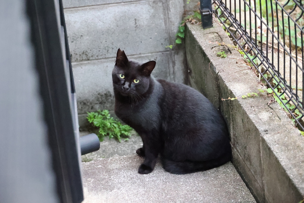 うまく出来てる（選手交替）