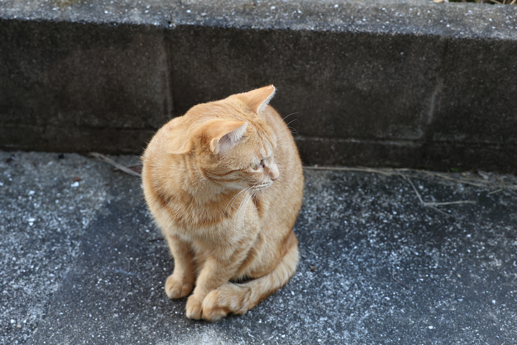 ウニャっ♪