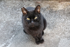 夕方も、モフる♪