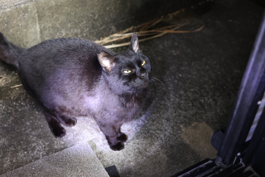餌、まだかな♪