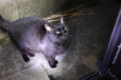 餌、まだかな♪