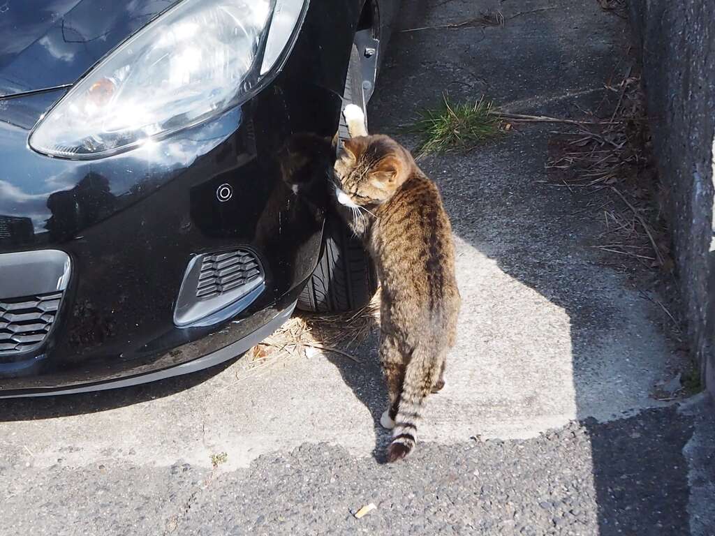「カキカキ」♪