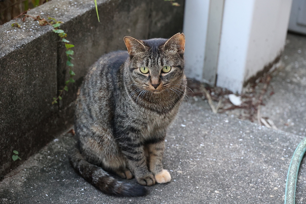 待ち人来たる♪