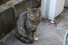 待ち人来たる♪