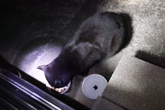 すこぶる元気♪