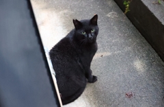 雨滴が付いてる♪