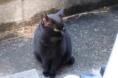 クリスマスの朝♪