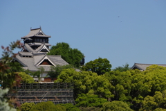 熊本城①