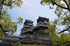 木々のはざま