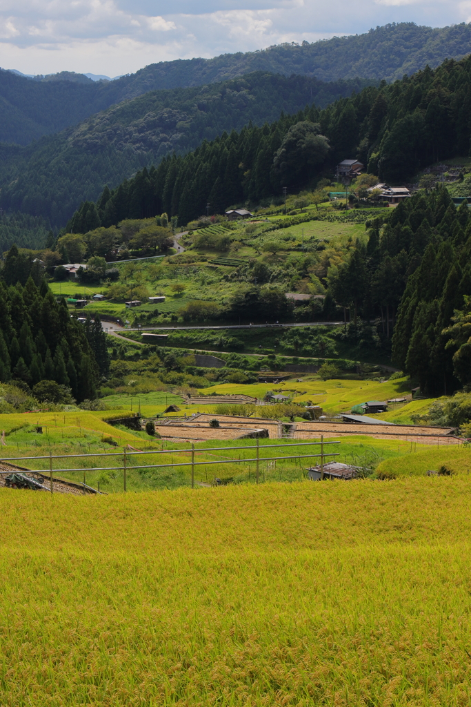 田園風景