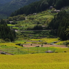 田園風景