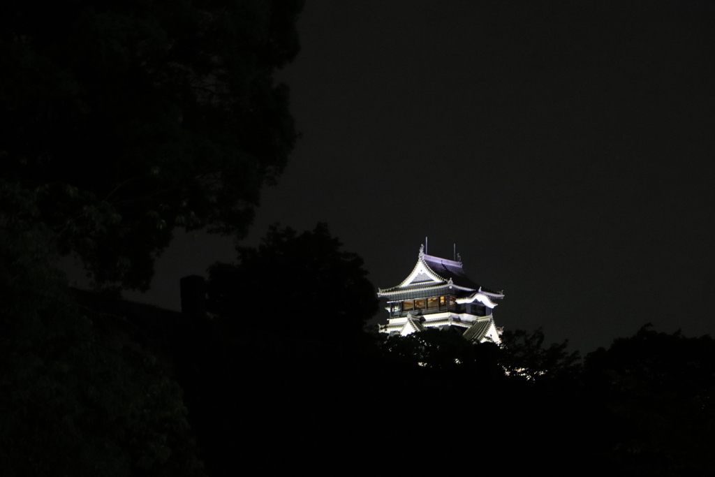 夜の熊本城